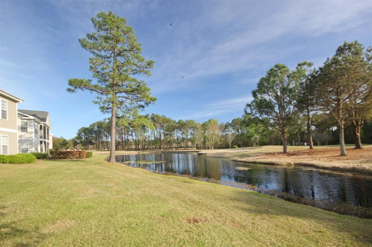 28C Sandpiper Bay サンセット・ビーチ エクステリア 写真